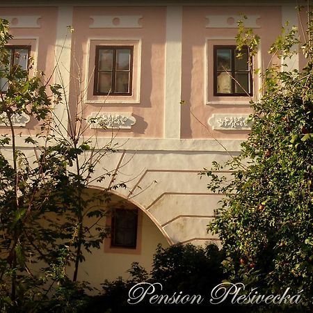 Pension Plesivecka 119 Český Krumlov Eksteriør bilde