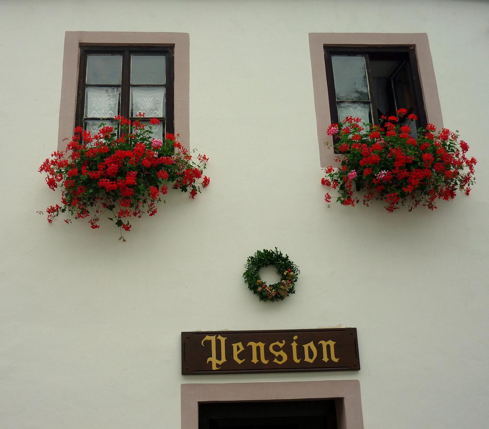Pension Plesivecka 119 Český Krumlov Eksteriør bilde